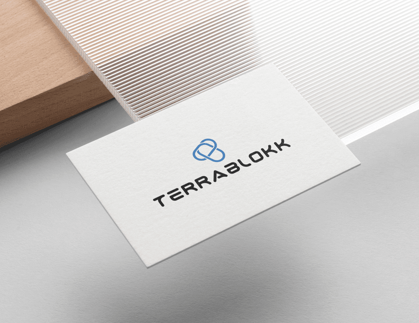 Terrablock — capture 3